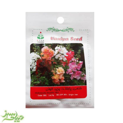 تصویر  بذر ختمی ، پابلند ، پرپر ، الوان
