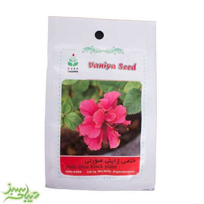 تصویر  بذر ختمی ژاپنی صورتی