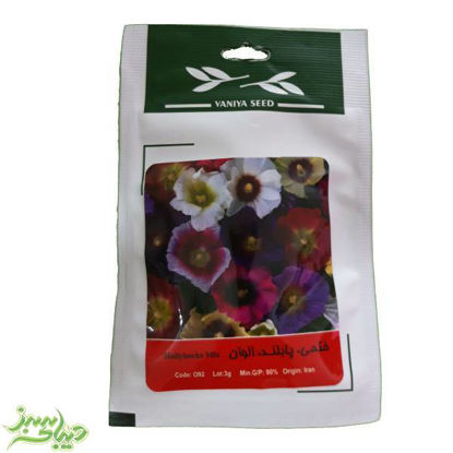 تصویر  بذر ختمی ، پابلند ، الوان