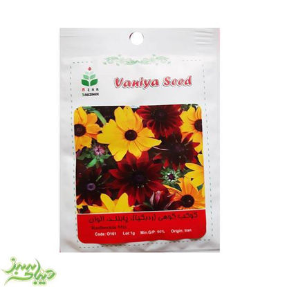 تصویر  بذر کوکب کوهی (ردبکیا) ، پابلند ، الوان