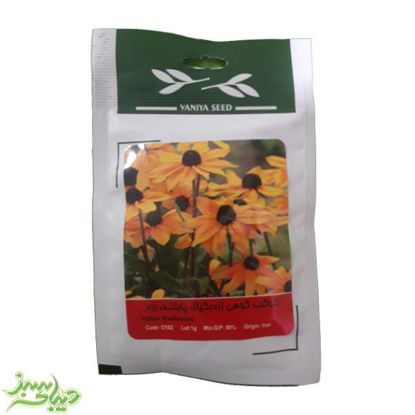 تصویر  بذر کوکب کوهی (ردبکیا) ، پابلند ، زرد