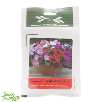 تصویر  بذر حنا ، پاکوتاه ،الوان