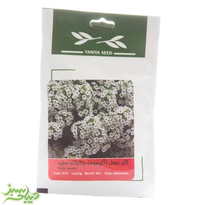 تصویر  بذر گل عسل (آلیسوم) ، پاکوتاه سفید