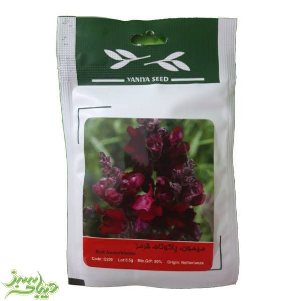 تصویر  بذر میمون ، پاکوتاه ، قرمز