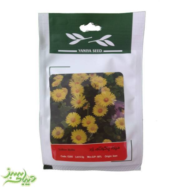 تصویر  بذر مینا ، پاکوتاه ، زرد