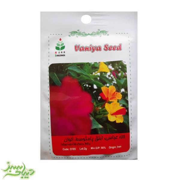 تصویر  بذر لاله عباسی ، ابلق پامتوسط ، الوان