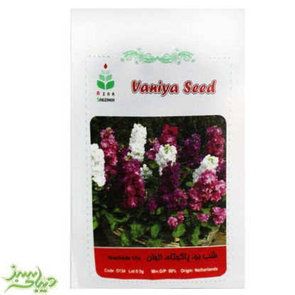 تصویر  بذر شب بو ، پاکوتاه ، الوان