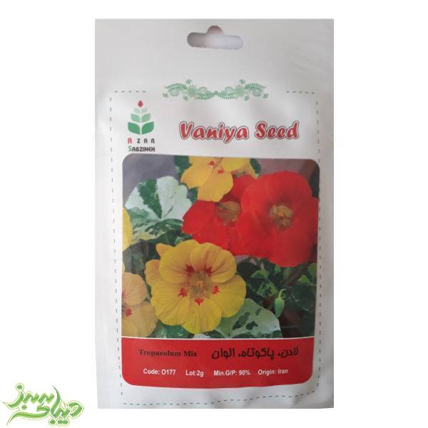 تصویر  بذر لادن ، پاکوتاه ، الوان