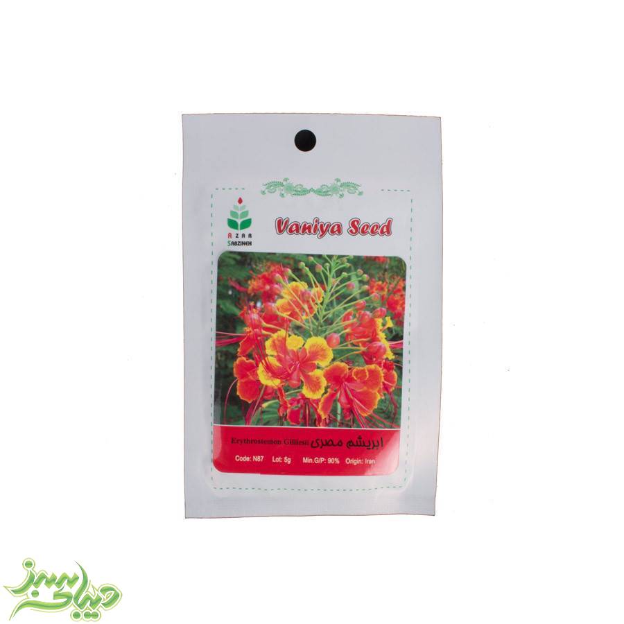 تصویر  بذر ابریشم مصری