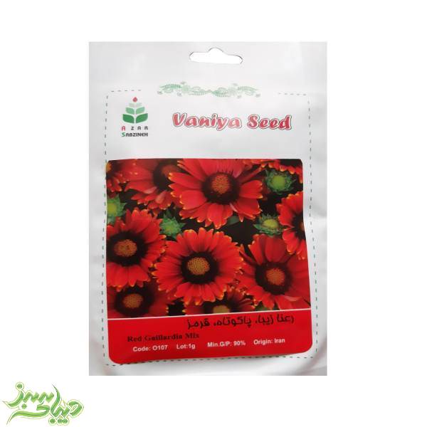 تصویر  بذر رعنا زیبا ، پاکوتاه ، قرمز