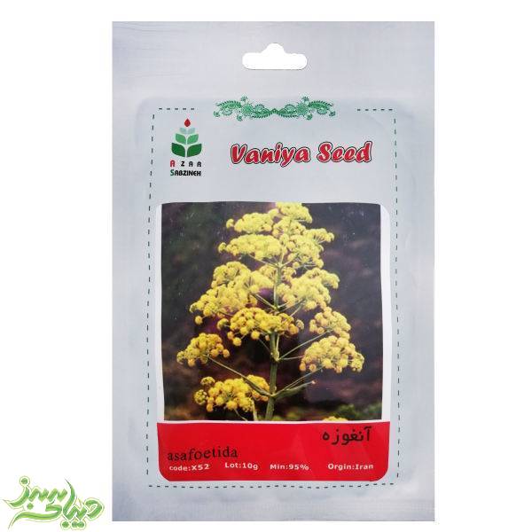 تصویر  بذر آنغوزه