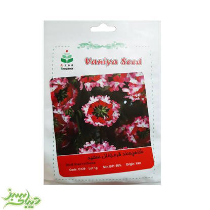 تصویر  بذر شاهپسند قرمز خال سفید