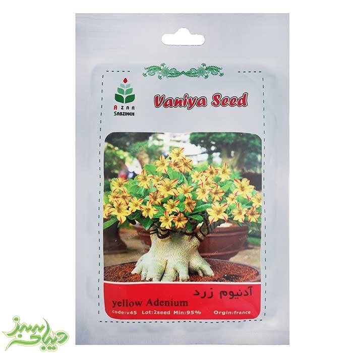 تصویر  بذر آدنیوم زرد