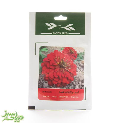 تصویر  بذر آهار ، پاکوتاه ، قرمز