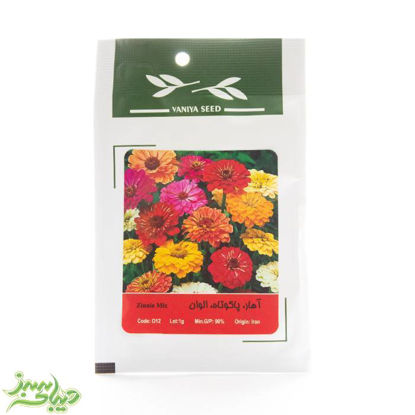 تصویر  بذر آهار ، پاکوتاه ، الوان