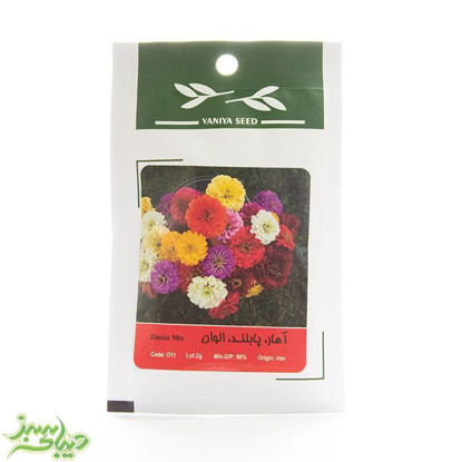 تصویر  بذر آهار ، پابلند ، الوان