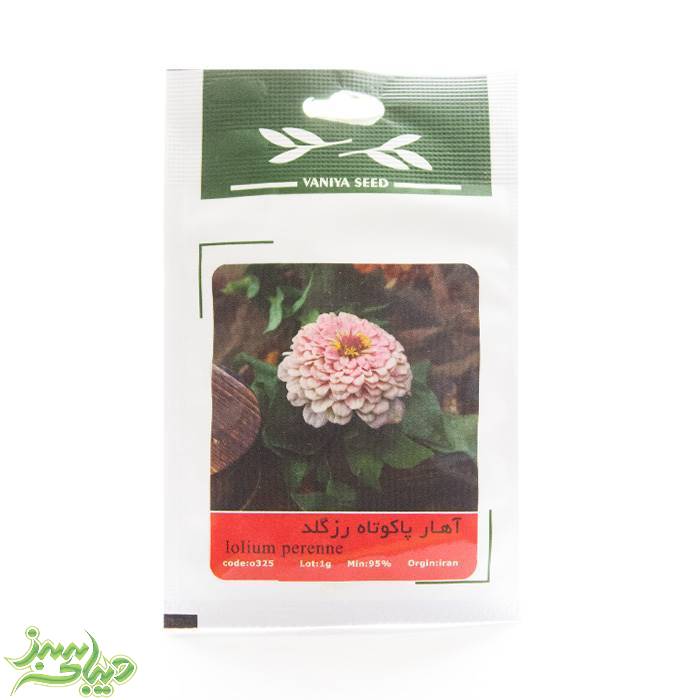 تصویر  بذر آهار پاکوتاه رزگلد