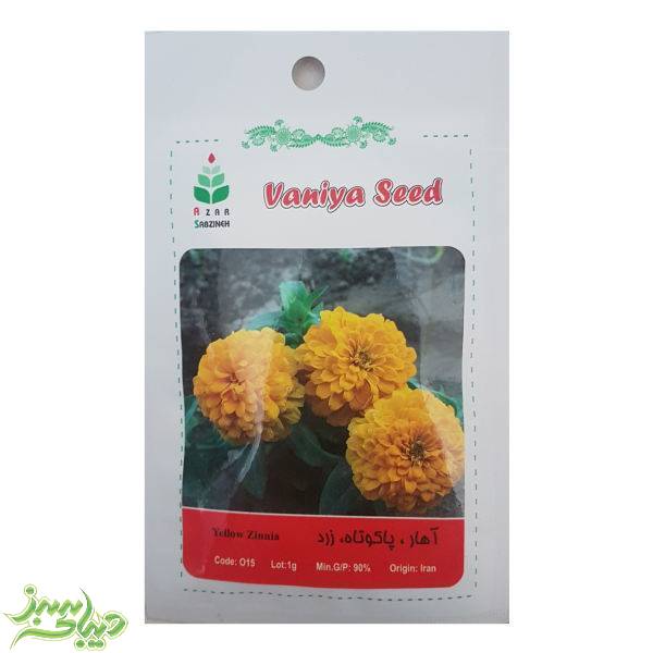 تصویر  بذر آهار ، پاکوتاه ، زرد