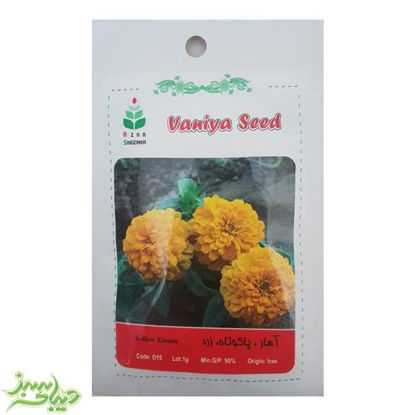 تصویر  بذر آهار ، پاکوتاه ، زرد