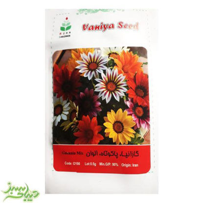 تصویر  بذر گازانیا ، پاکوتاه ، الوان