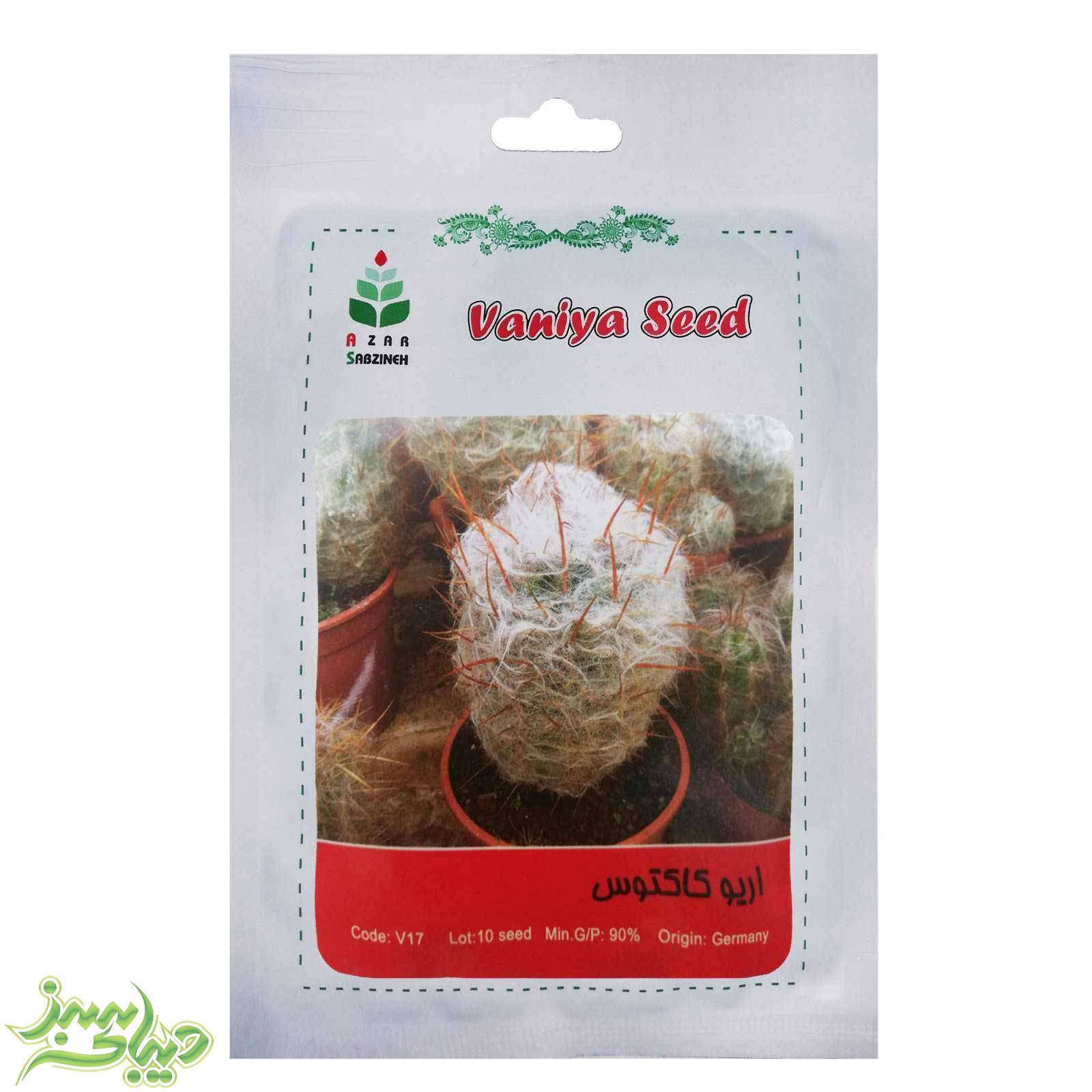 تصویر  بذر اریو کاکتوس