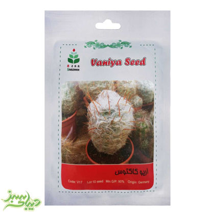 تصویر  بذر اریو کاکتوس