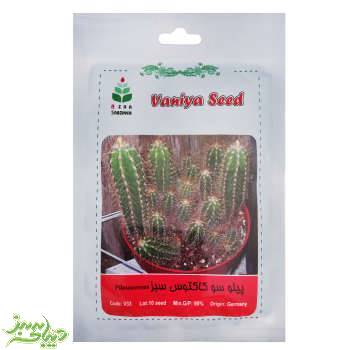 تصویر  بذر پیلو سو کاکتوس سبز