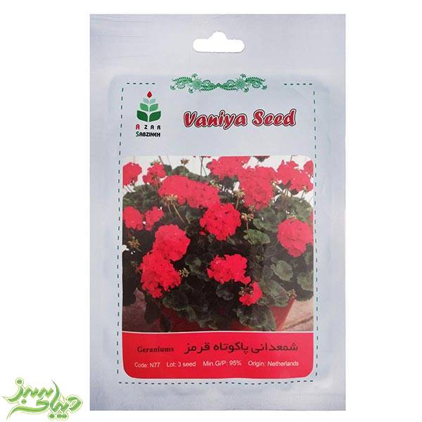 تصویر  بذر شمعدانی پاکوتاه قرمز