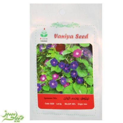 تصویر  بذر نیلوفر ، رونده ، الوان