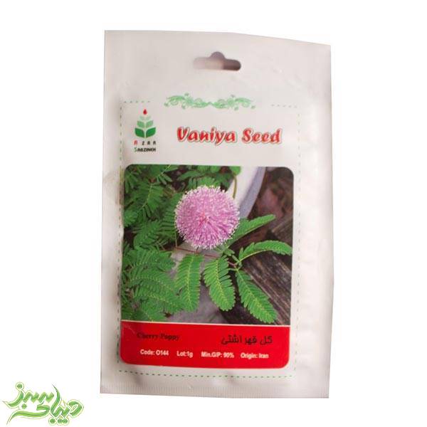 تصویر  بذر گل قهر اشتی