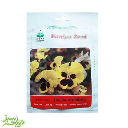 تصویر  بذر بنفشه زرد خال دار