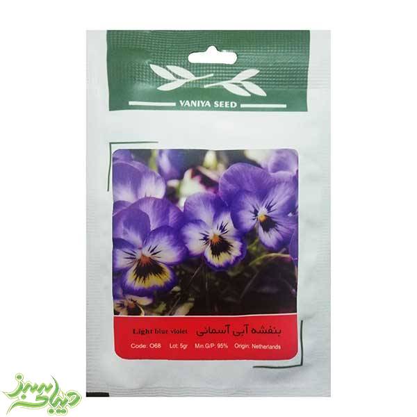 تصویر  بذر بنفشه آبی آسمانی