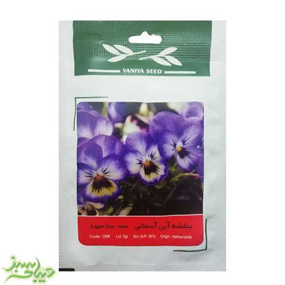 تصویر  بذر بنفشه آبی آسمانی