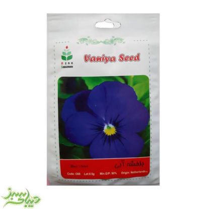 تصویر  بذر بنفشه آبی