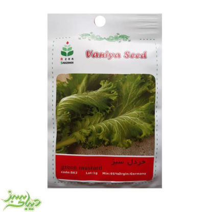 تصویر  بذر خردل سبز