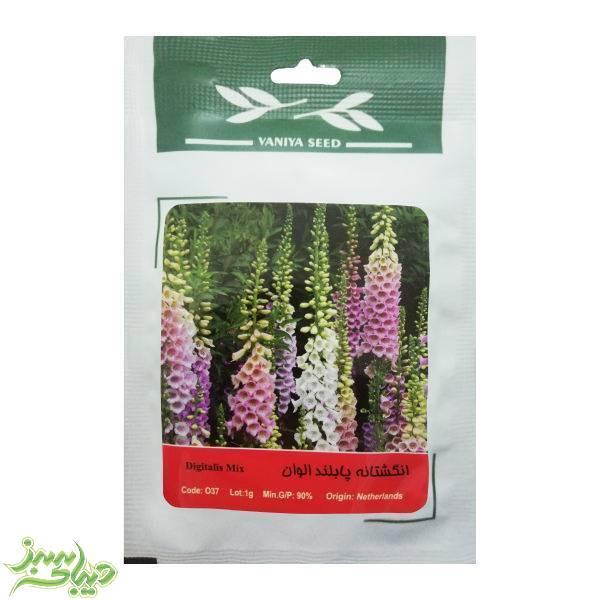 تصویر  بذر انگشتانه پابلند الوان