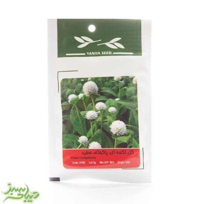 تصویر  بذر گل تکمه ای ، پاکوتاه ، سفید