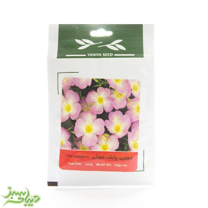 تصویر  بذر مغربی ، پابلند ، صورتی