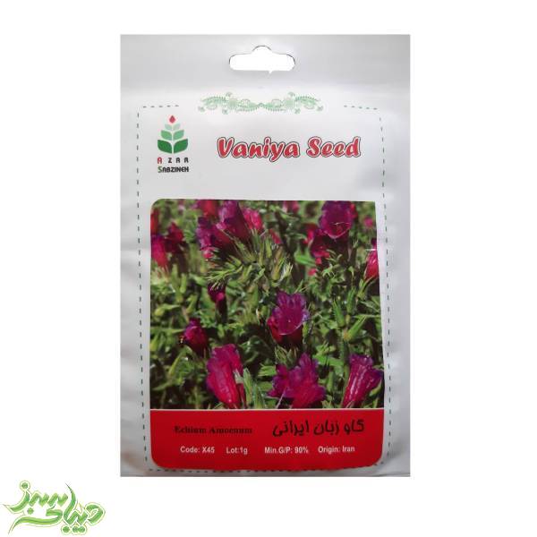 تصویر  بذر گاو زبان ایرانی