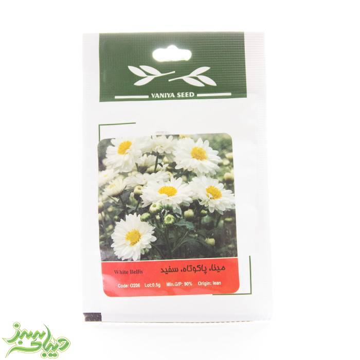 تصویر  بذر مینا ، پاکوتاه ، سفید