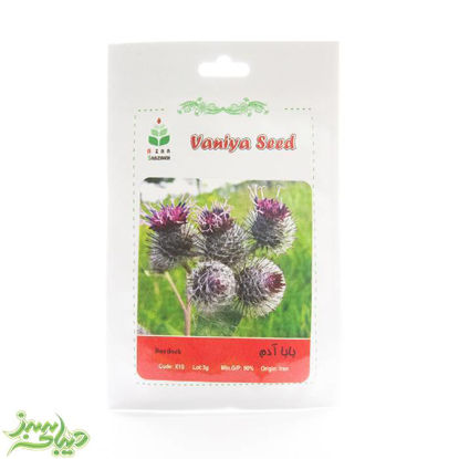 تصویر  بذر بابا آدم