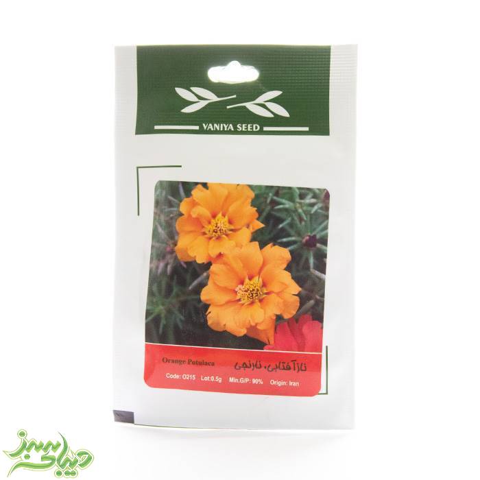 تصویر  بذر ناز آفتابی ، نارنجی