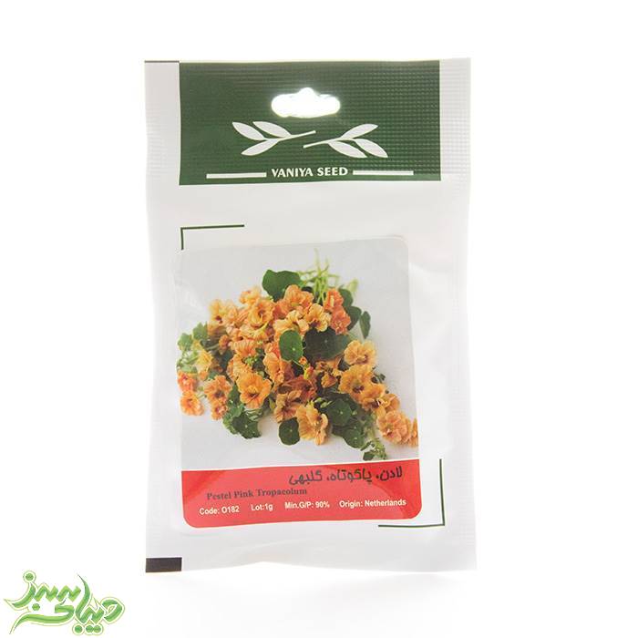 تصویر  بذر لادن ، پاکوتاه ، گلبهی