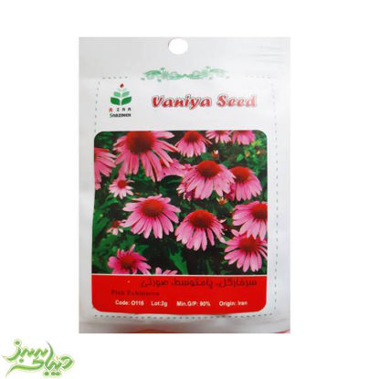 تصویر  بذر سرخارگل ، پامتوسط ، صورتی