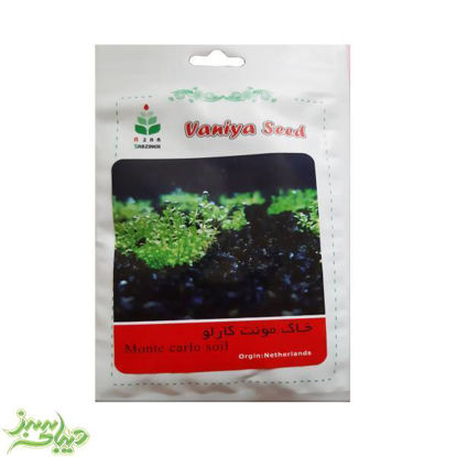 تصویر  خاک مونت کارلو