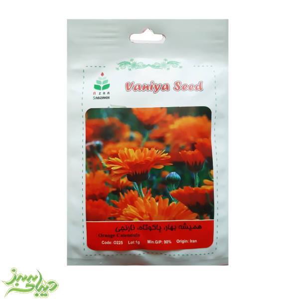 تصویر  بذر همیشه بهار ، پاکوتاه ، نارنجی