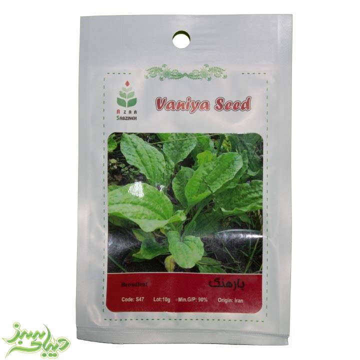 تصویر  بذر بارهنگ