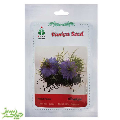 تصویر  بذر سیاهدانه 