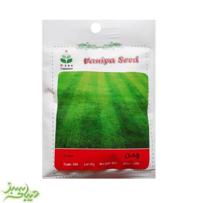 تصویر  بذر چمن