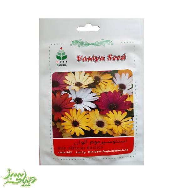 تصویر  بذر استئوسپرموم الوان